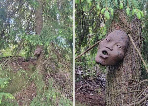 Scary Finds In The Forests (24 pics)