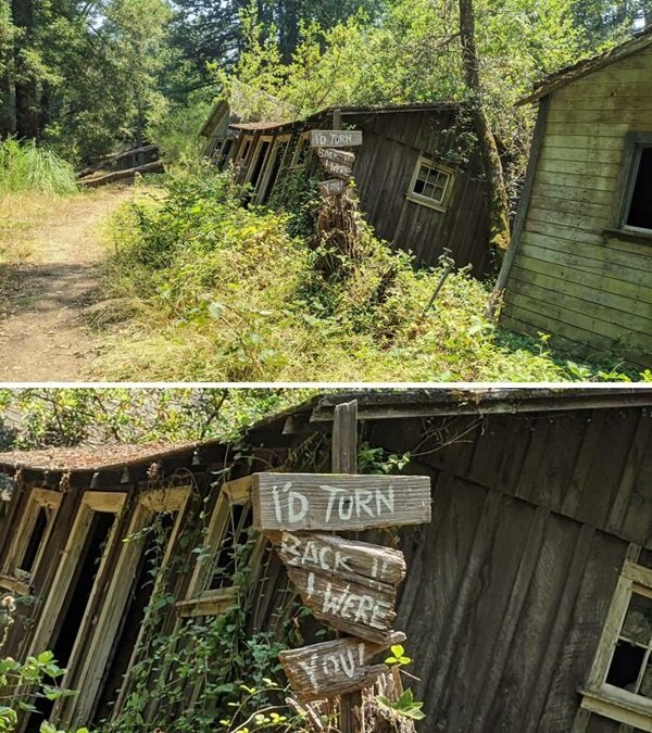 Scary Finds In The Forests (24 pics)