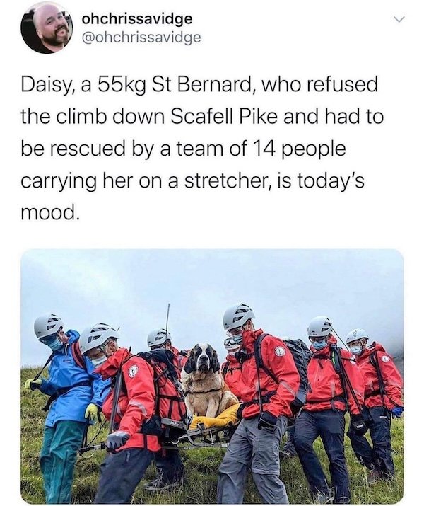 British Memes (24 pics)