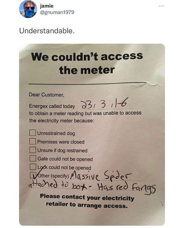 British Memes (24 pics)