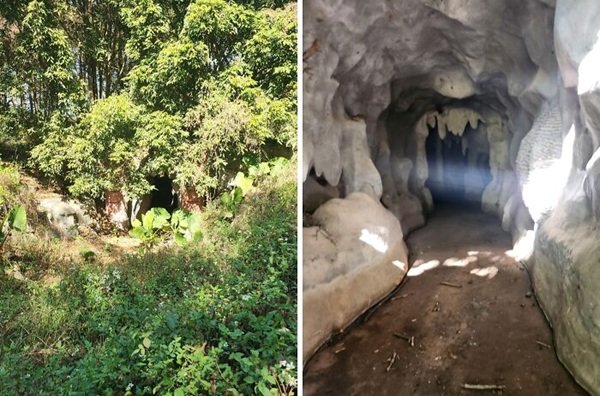 Scary Finds In The Forests (24 pics)
