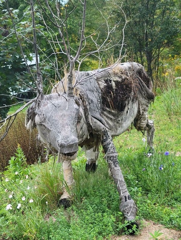 Scary Finds In The Forests (24 pics)