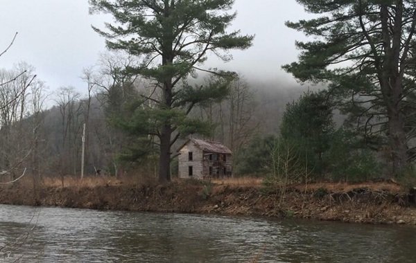 Scary Finds In The Forests (24 pics)