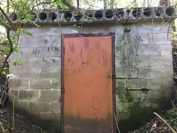 Scary Finds In The Forests (24 pics)