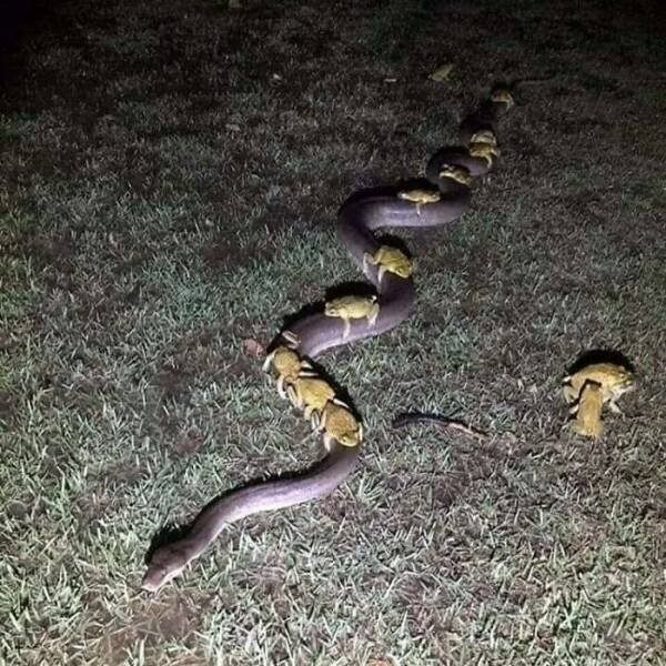 ''Cursed'' Photos (20 pics)