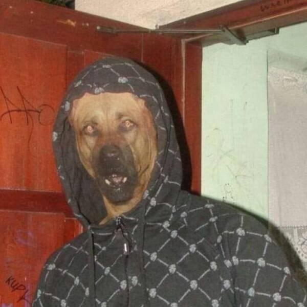 ''Cursed'' Photos (20 pics)
