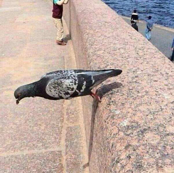 ''Cursed'' Photos (20 pics)