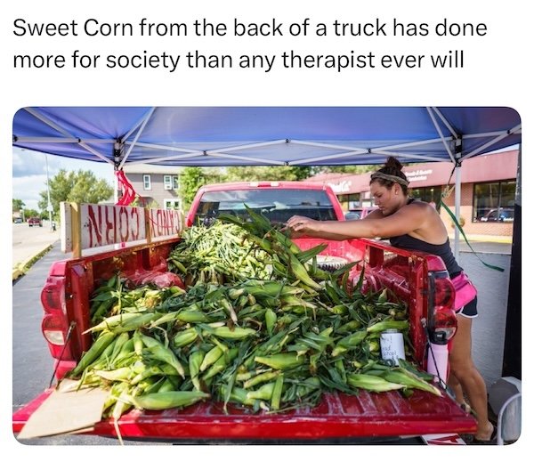 Memes About The Midwest (25 pics)