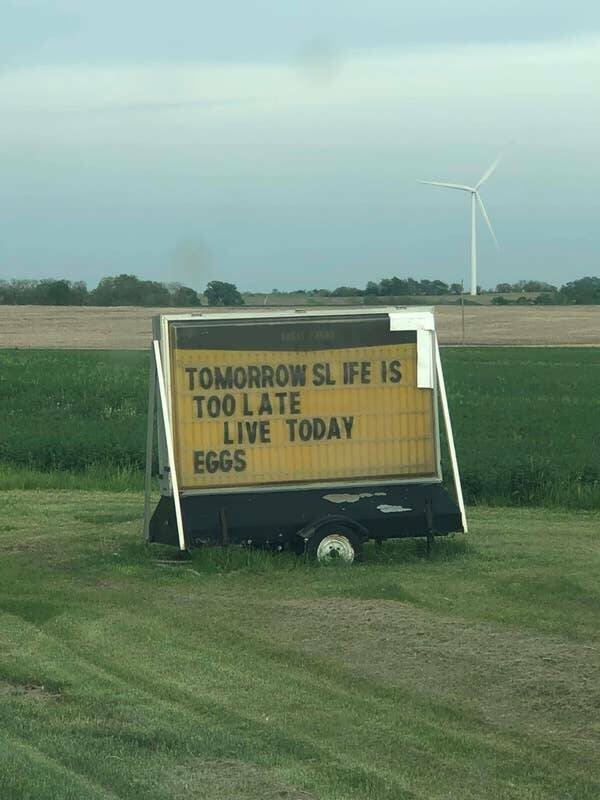 Funny Signs (24 pics)