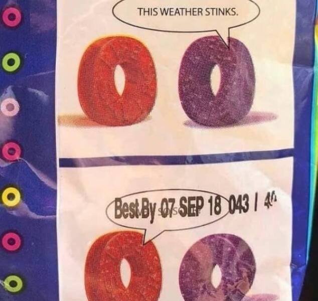 Funny Signs (24 pics)