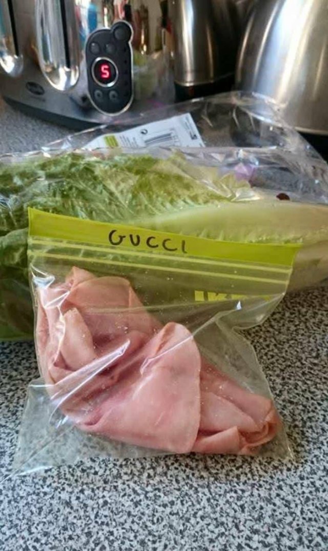 Genius People (23 pics)