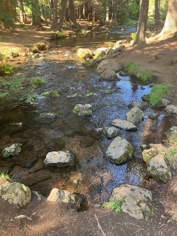 Interesting Finds (20 pics)