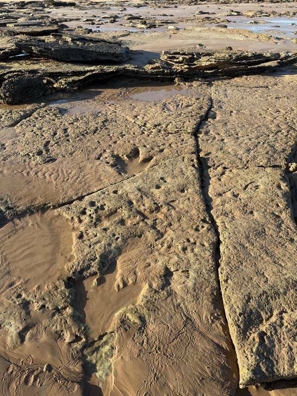 Interesting Finds (20 pics)