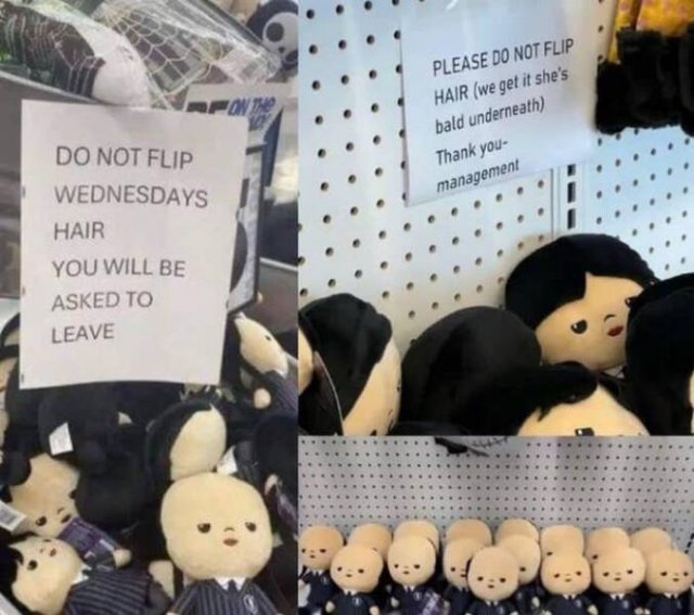 Funny Signs (24 pics)