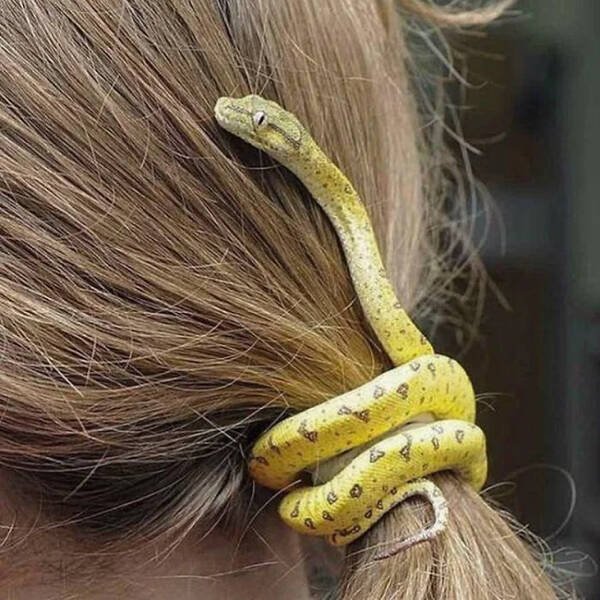 Strange Designs (20 pics)