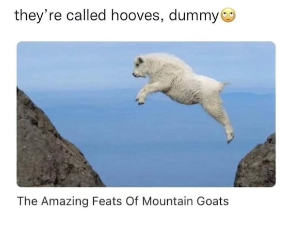 Funny Memes (24 pics)