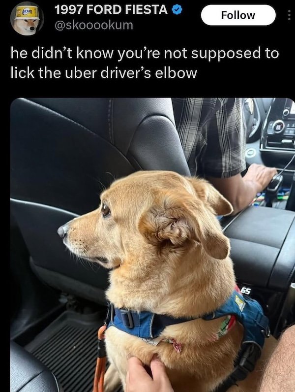 Funny Memes (24 pics)