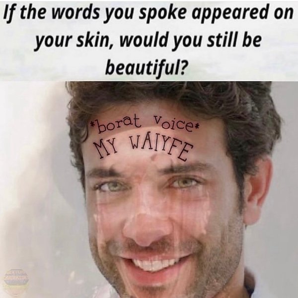 Funny Memes (24 pics)