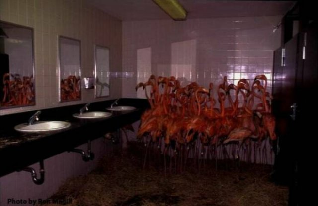 Weird Finds And Situations (23 pics)