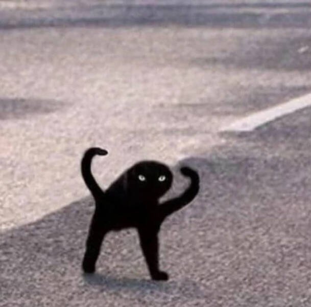 Weird Finds And Situations (23 pics)