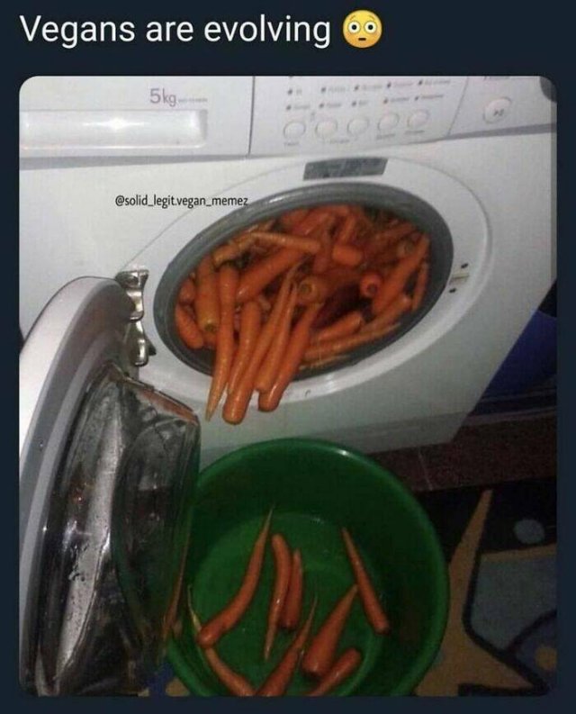 Weird Finds And Situations (23 pics)
