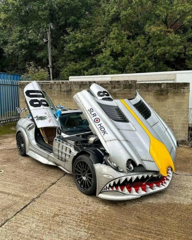 Crazy And Weird Vehicles (30 pics)