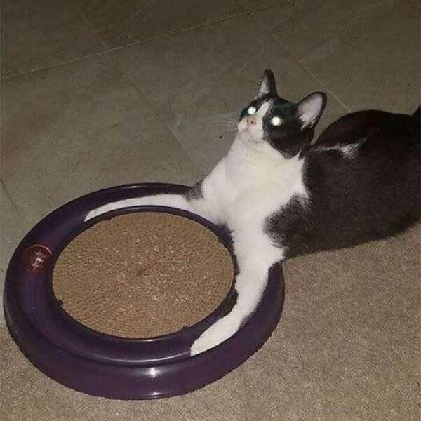Weird Finds And Situations (23 pics)