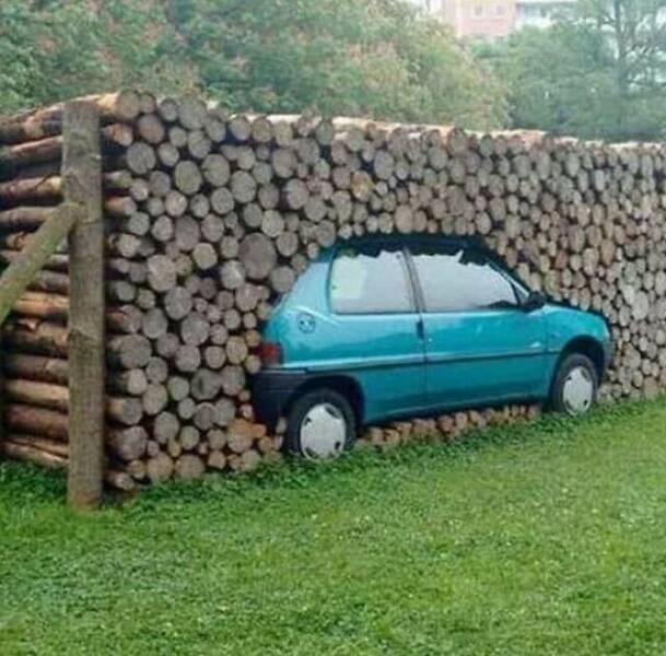 Weird Finds And Situations (23 pics)