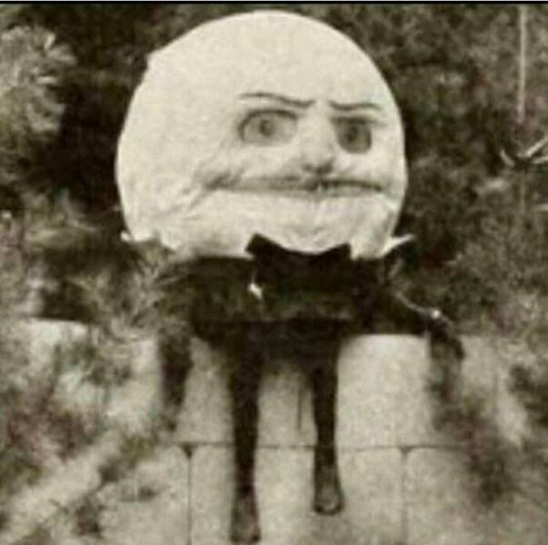 Weird Finds And Situations (23 pics)