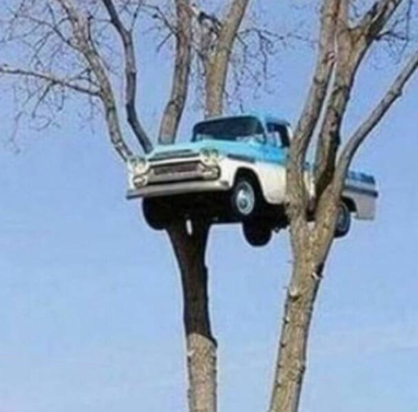 Weird Finds And Situations (23 pics)