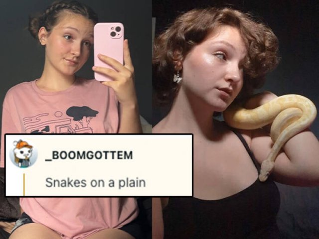 Funny Comments (15 pics)