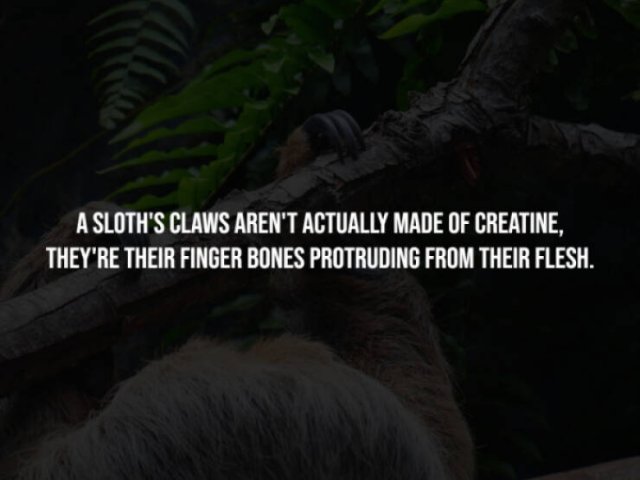 Scary Facts (15 pics)