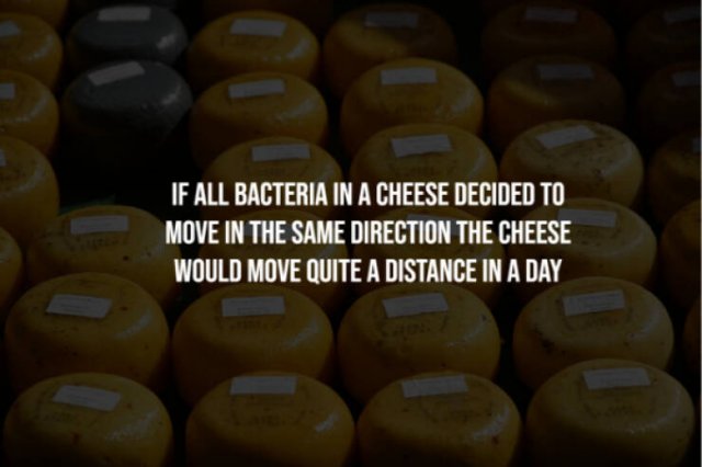 Scary Facts (15 pics)
