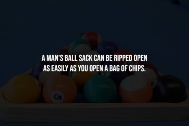 Scary Facts (15 pics)