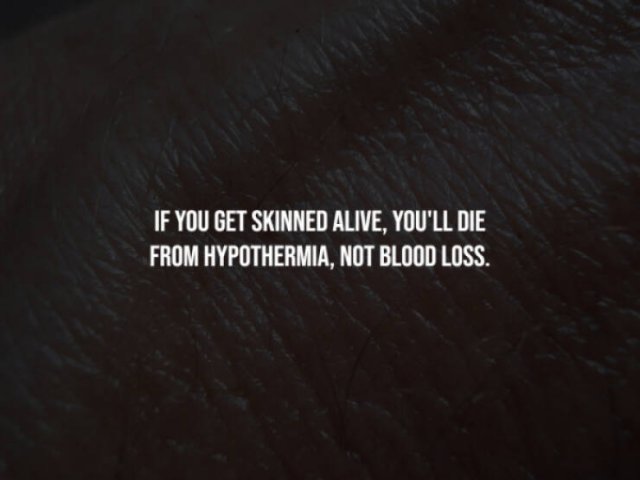 Scary Facts (15 pics)