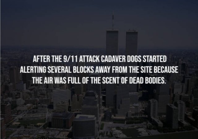 Scary Facts (15 pics)
