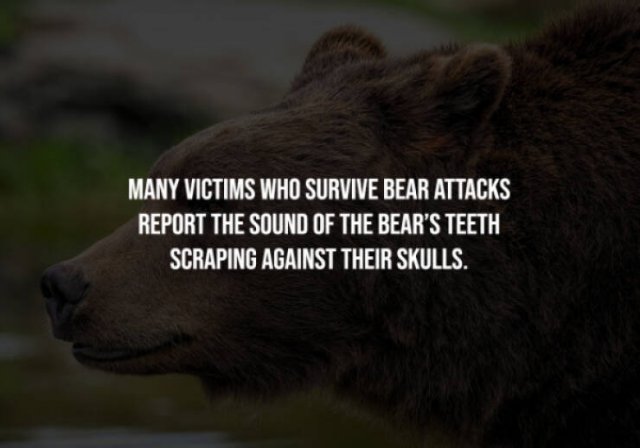 Scary Facts (15 pics)