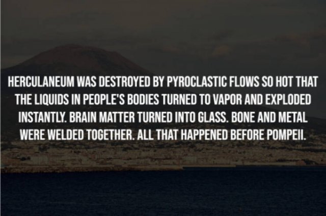 Scary Facts (15 pics)