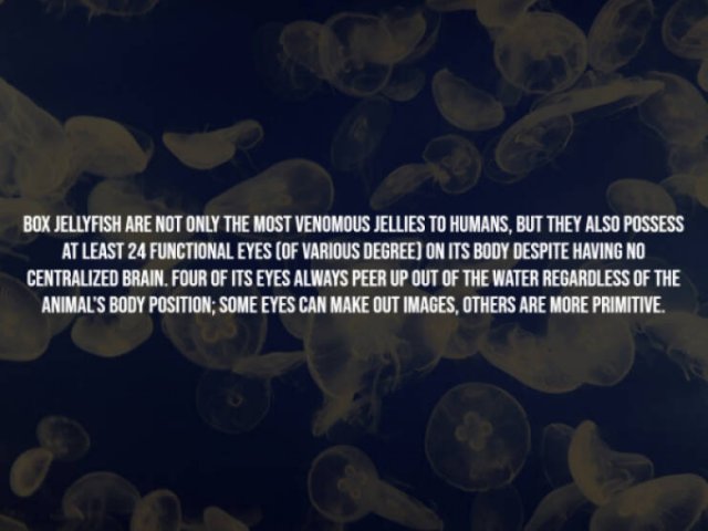 Scary Facts (15 pics)