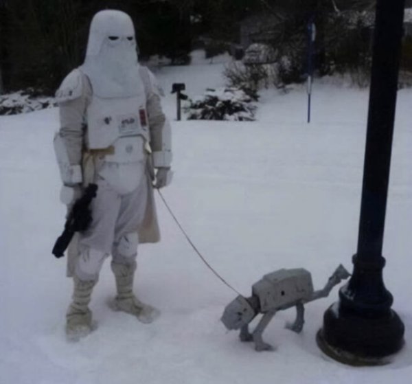 What Is Going On Here? (24 pics)