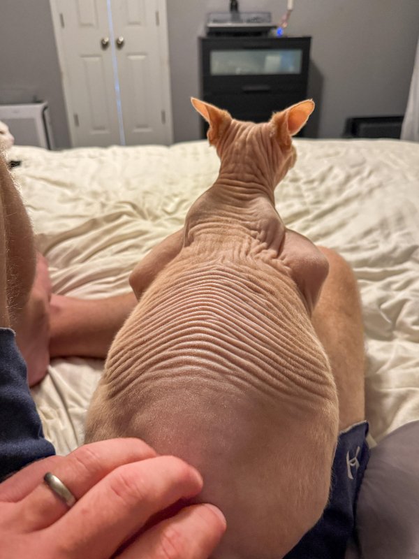 Interesting Finds (24 pics)