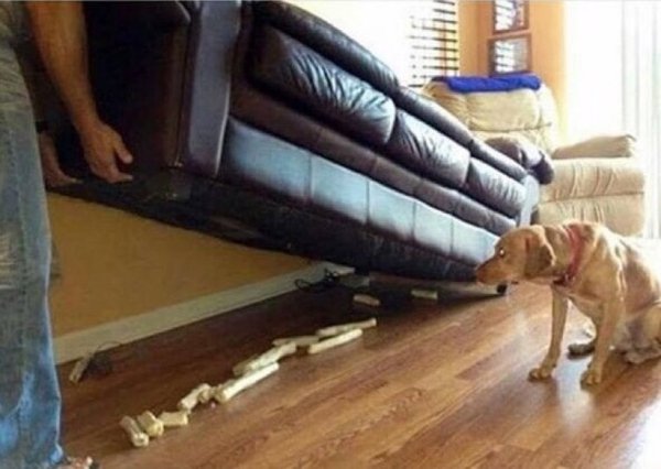 What Is Going On Here? (24 pics)