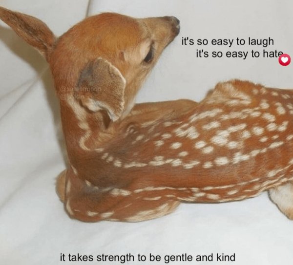 Kind Jokes (25 pics)