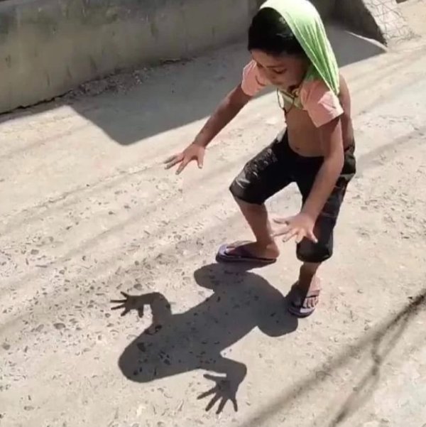 What Is Going On Here? (24 pics)