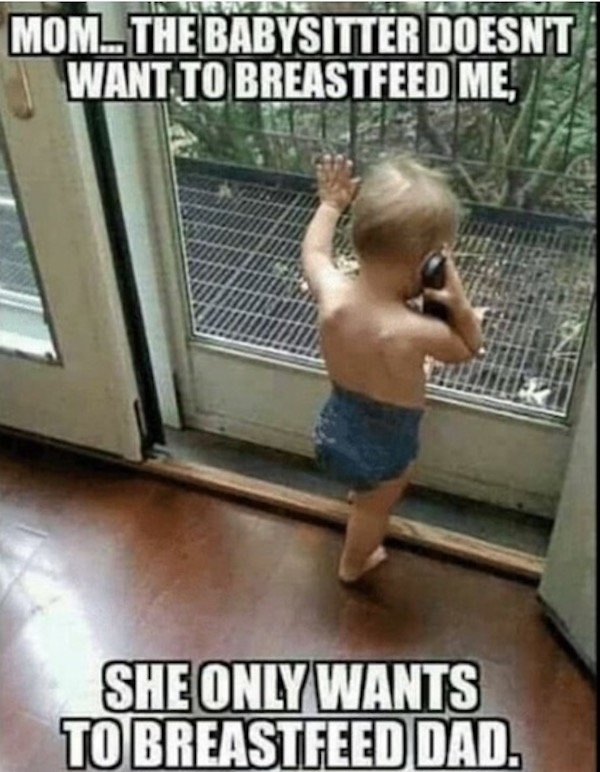 Random Memes (33 pics)