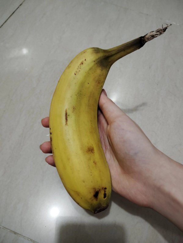 Interesting Finds (24 pics)
