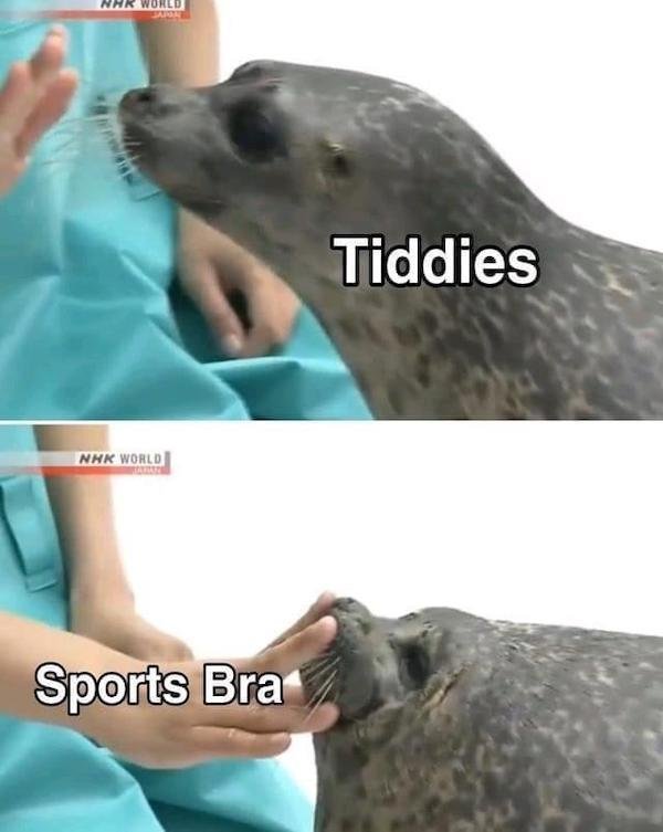 Random Memes (33 pics)