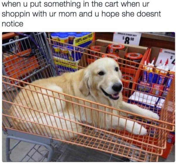 Kind Jokes (25 pics)