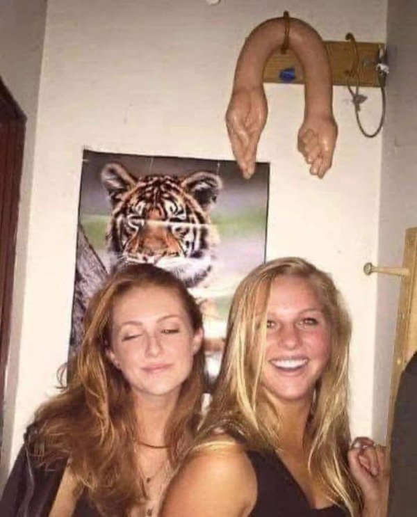 What Is Going On Here? (24 pics)