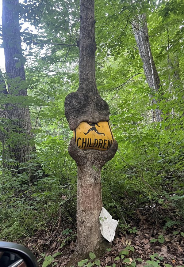 Interesting Finds (24 pics)
